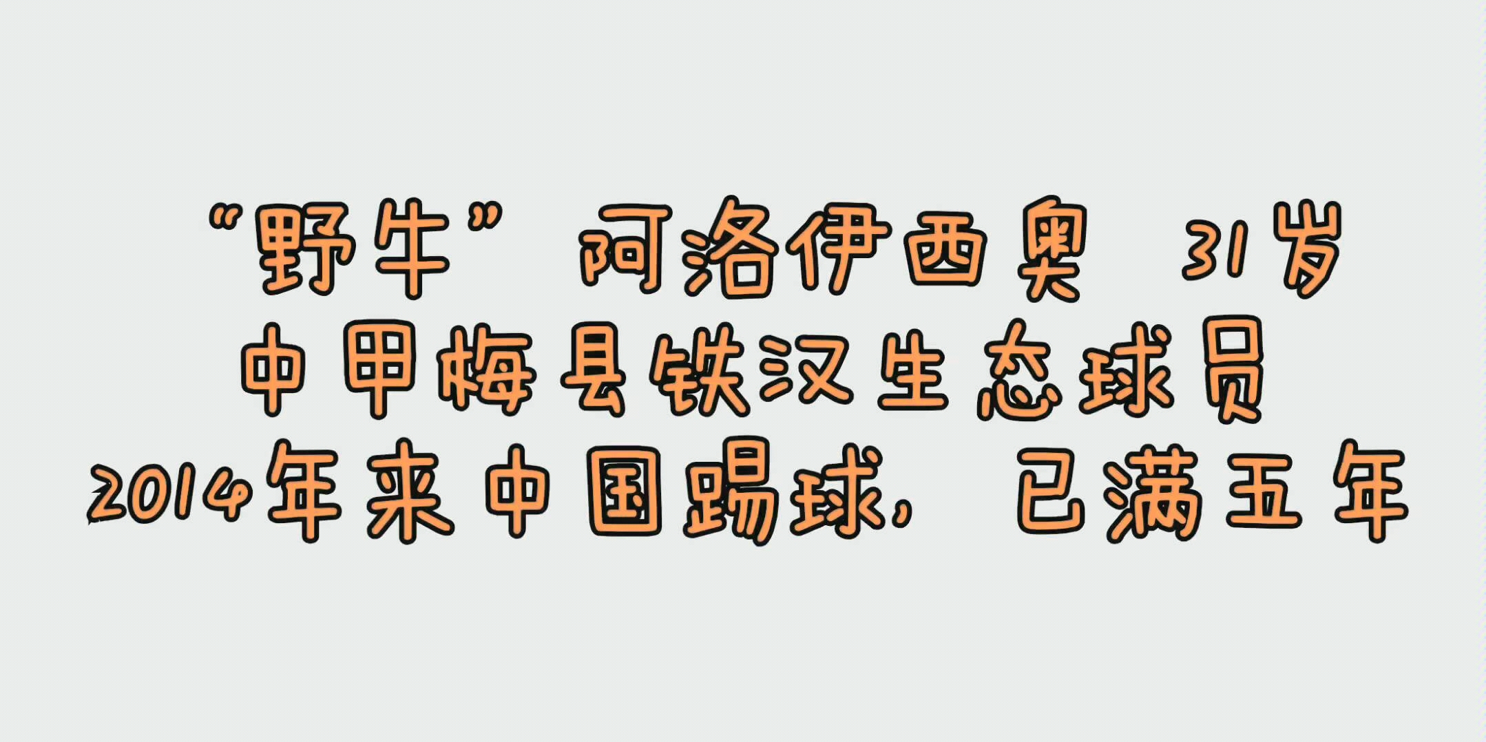 MK体育-汉堡球迷拟组织球队支持团体，助球队取胜